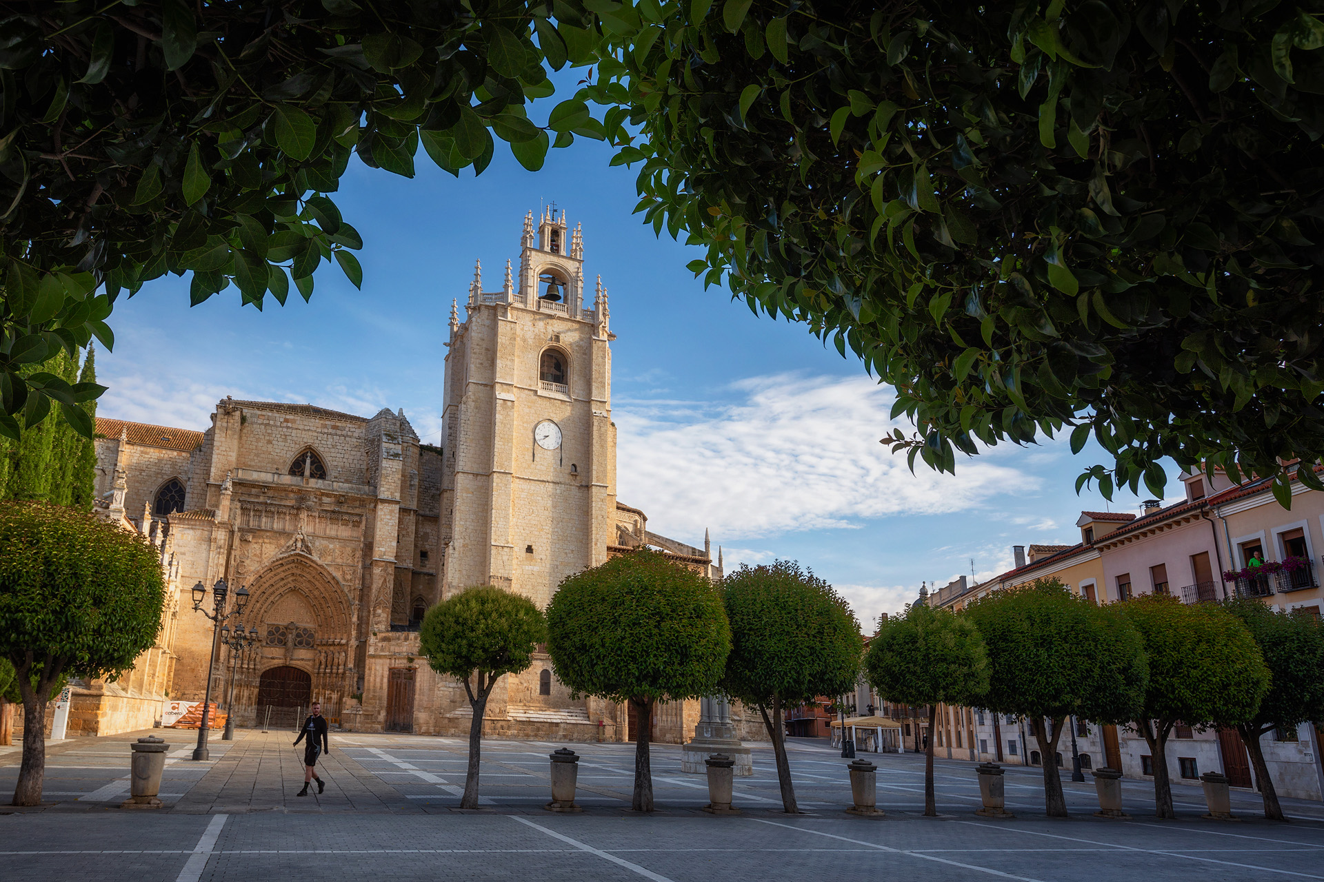 Catedral de San Antolín