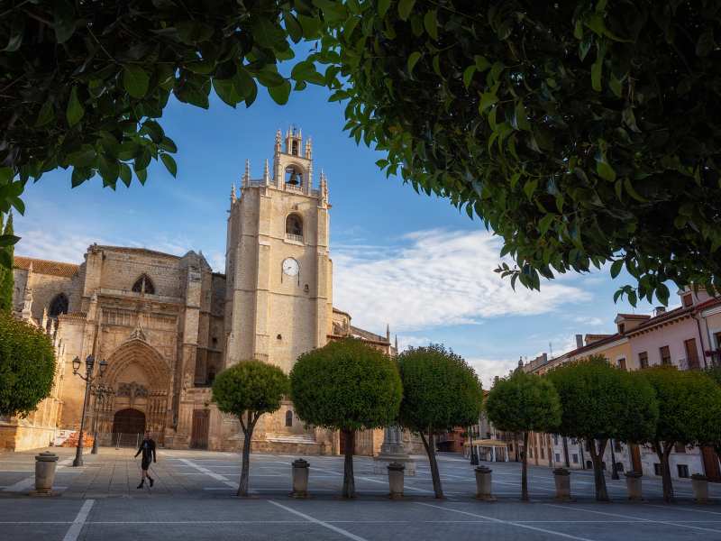 Catedral de San Antolín
