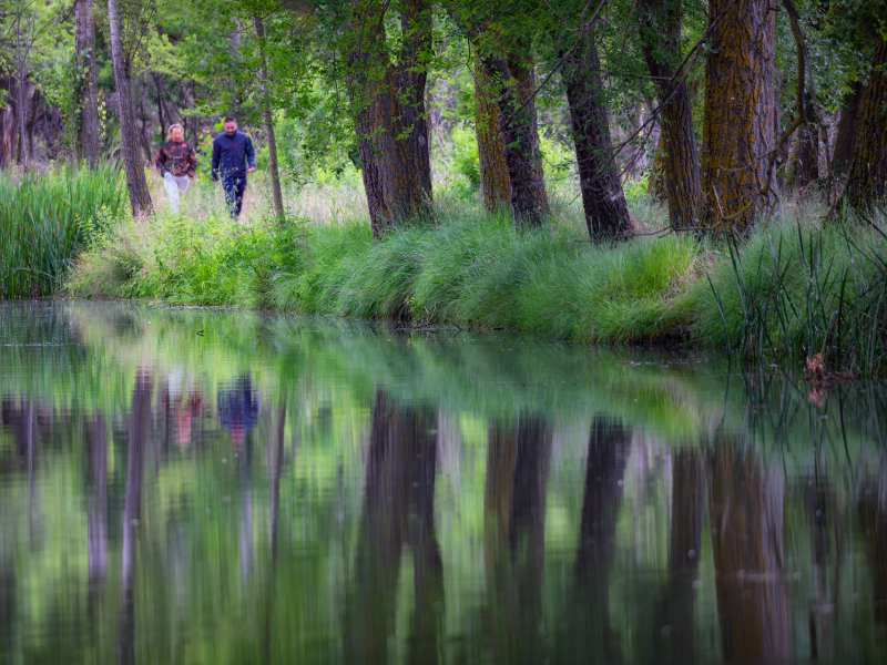 Dársena del Canal de Castilla