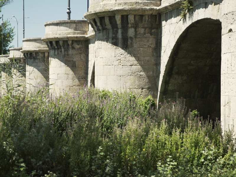 Puente Mayor