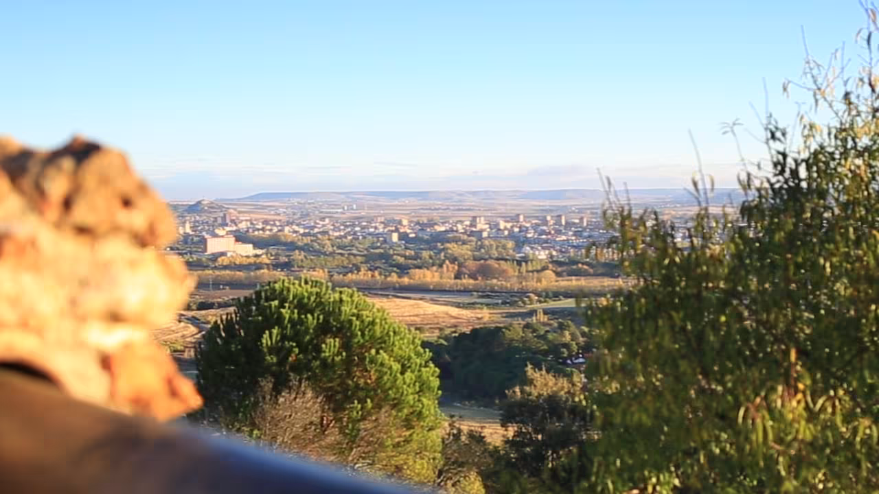 Monte el Viejo