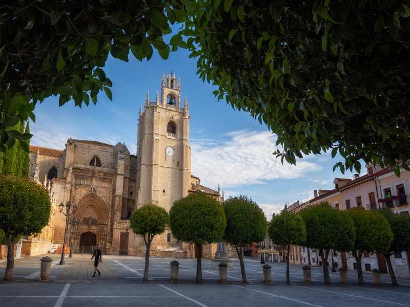 Catedral de San Antolín