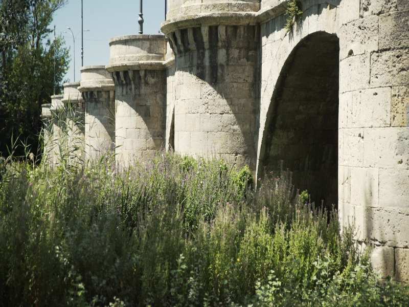 Puente Mayor