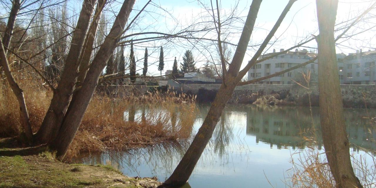 Riberas del Río Carrión