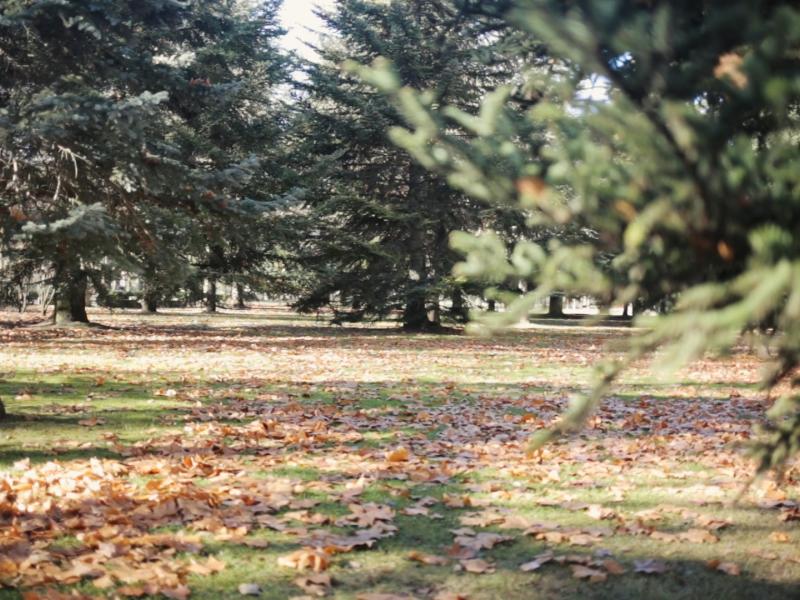 Parque del Sotillo de los Canónigos