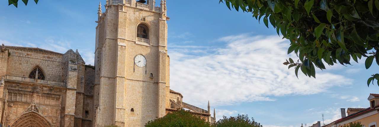 Catedral de San Antolín