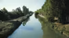 Vista del Canal de Castilla a su paso por el término municipal de Palencia
