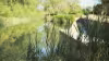 Vista del Canal de Castilla a su paso por el término municipal de Palencia