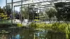 Parque del Salón de Isabel II